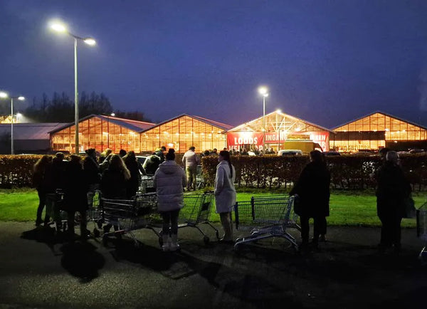 Klanten met winkelwagens wachten 's avonds voor de loodsverkoop van Kooistra.com