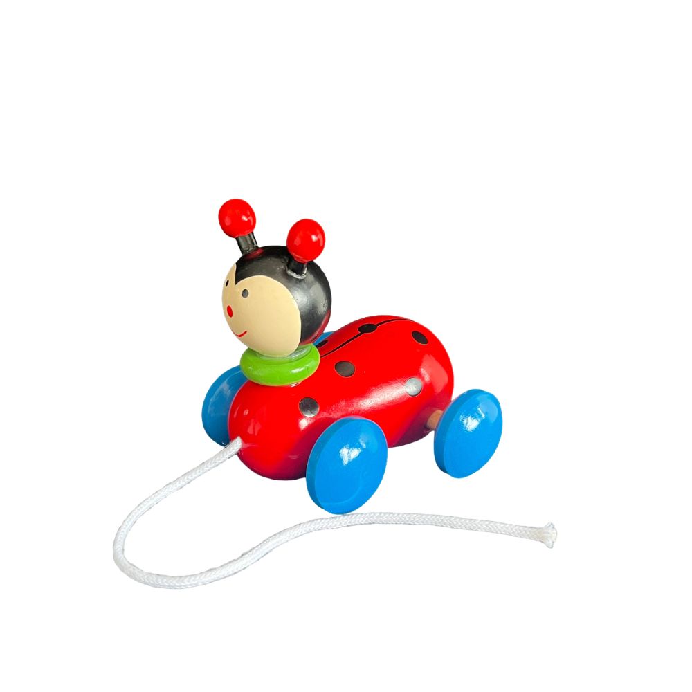 Playwood Meesleepbaar Lieveheersbeestje – 9 cm
