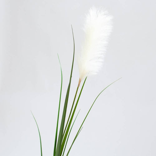 Coolplant - Pampasgras - witte/roze pluim - kunst - 175 cm