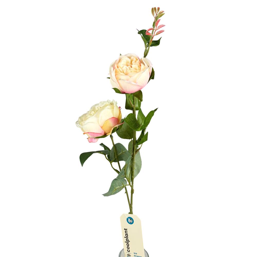 Coolplant - Rozentak - wit - kunst - 75cm