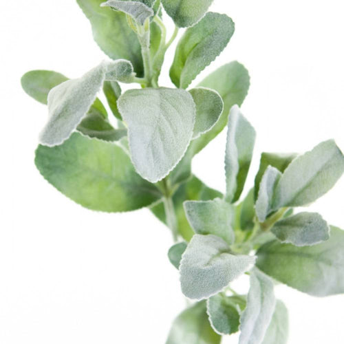 Coolplant - Decoratieve tak - groen - kunst - 73 cm
