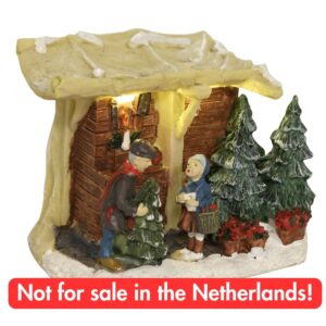 Typisch Hollands - Kerstbomen verkoop - inclusief LED