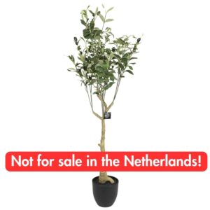 Blokker - Kunstplant Olijf - 120cm
